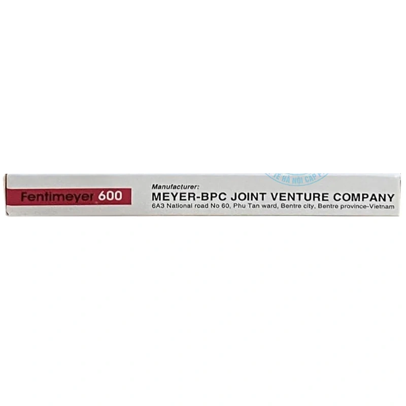 Fentimeyer 600 trị bệnh nấm Candida sinh dục (1 vỉ x 3 viên) - 2